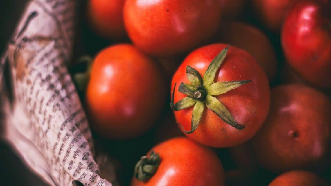 Truc de grand-mère pour avoir de belles tomates !