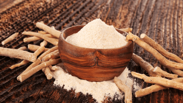 Ashwagandha : études sur ses propriétés adaptogènes et effets physiologiques