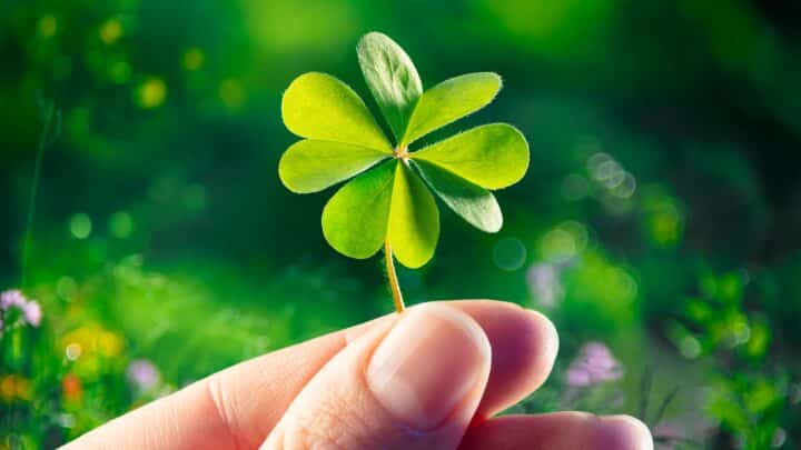 10 astuces de grand-mère pour attirer la chance