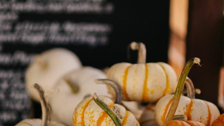 Conserver les courges entières ou entamées avant l’hiver